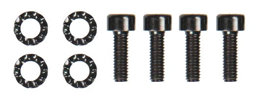 M4 x 12mm Hex Cap Screws with Lock Washers (4 pk), Blk