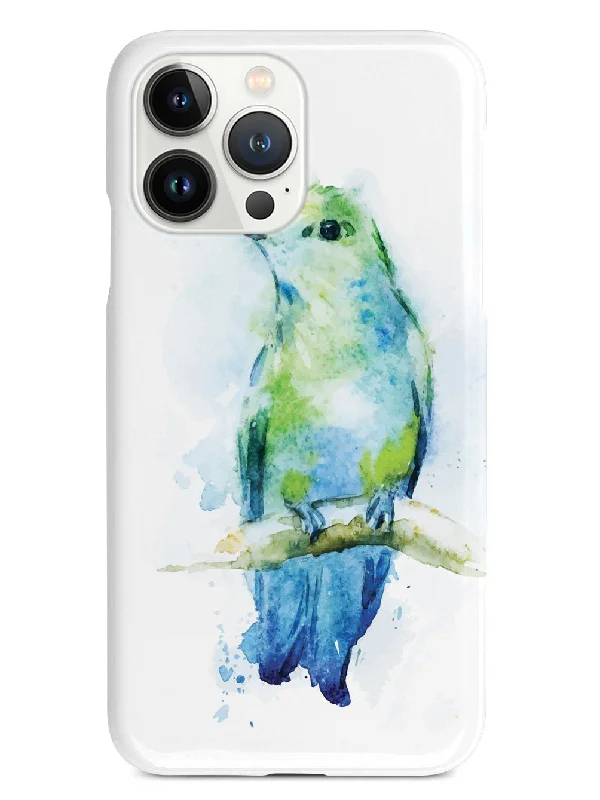 Watercolor Colibri Hummingbird Case